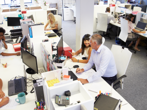 Creating a healthy and eco-friendly office environment